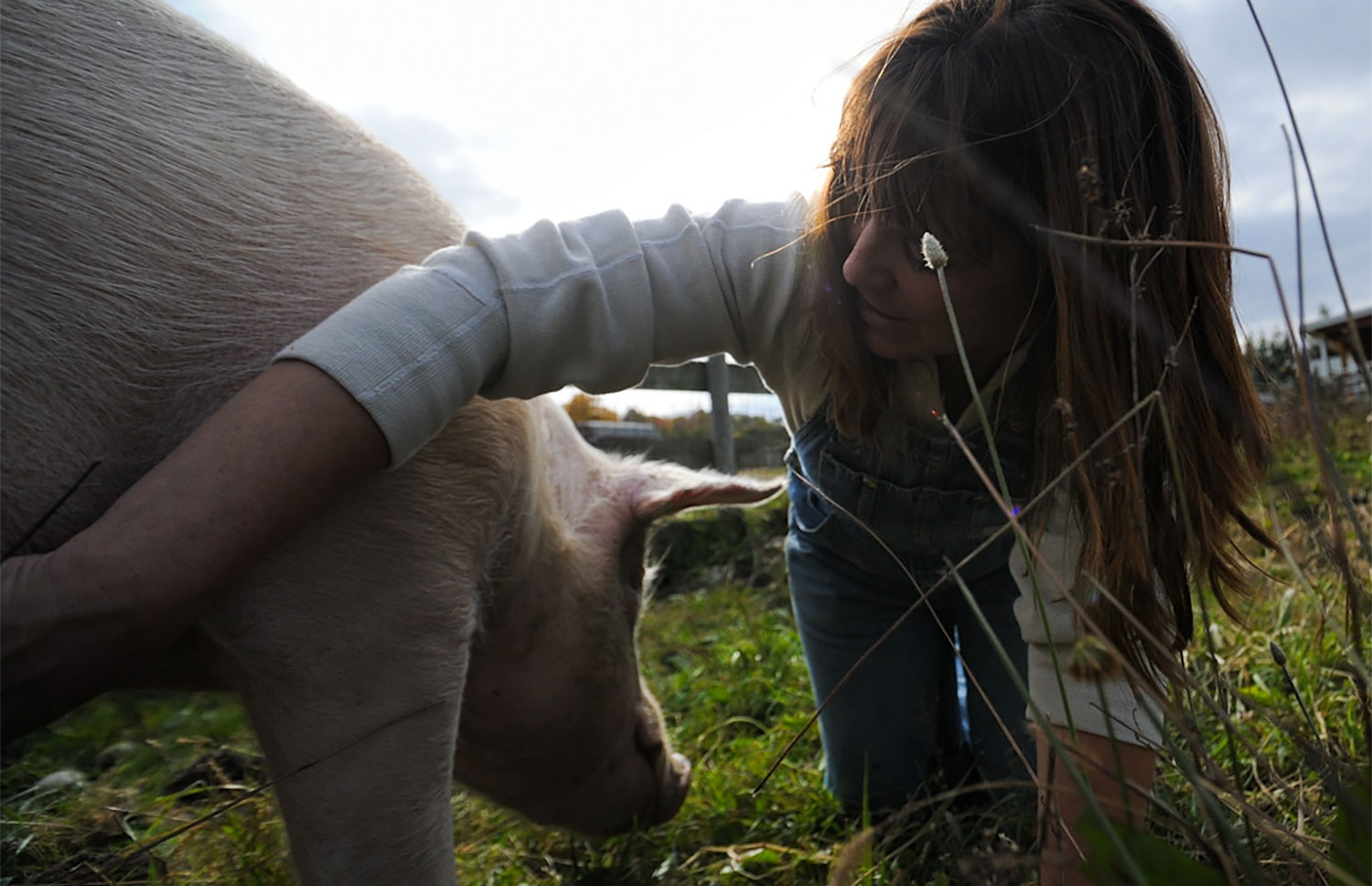 People Will Realize That Farm Animals Are No Different Than Their Pets